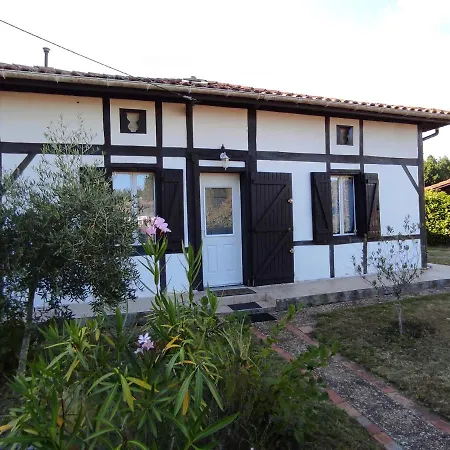 Maison Landaise Chaleureuse