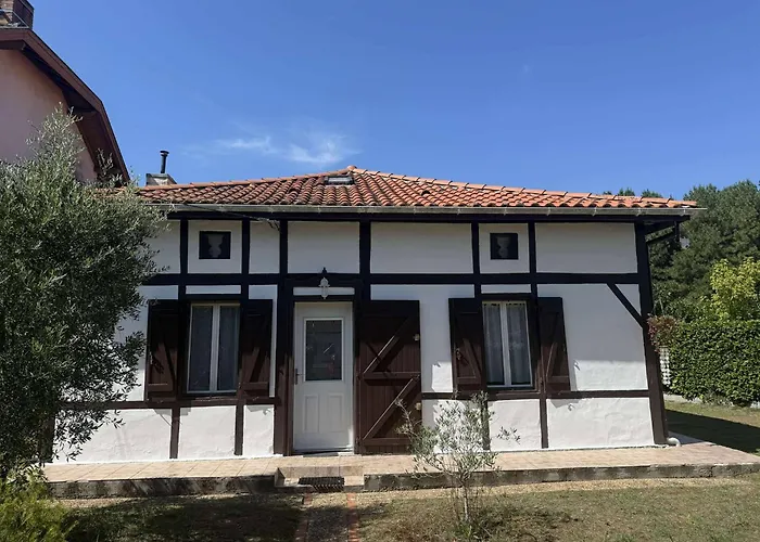 Maison Landaise Chaleureuse Rion-Des-Landes